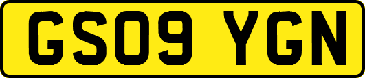 GS09YGN