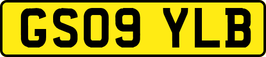 GS09YLB