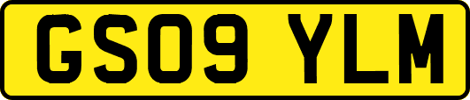 GS09YLM