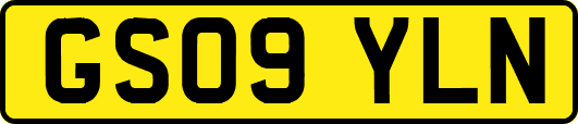 GS09YLN