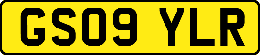 GS09YLR