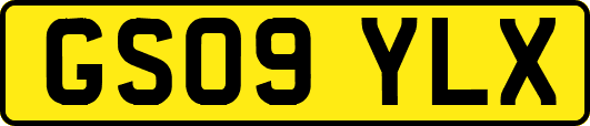 GS09YLX