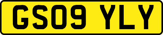 GS09YLY