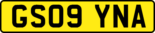 GS09YNA