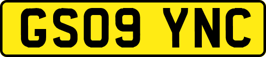 GS09YNC