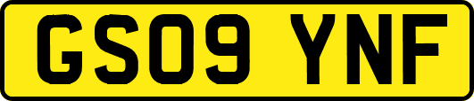 GS09YNF
