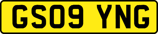 GS09YNG