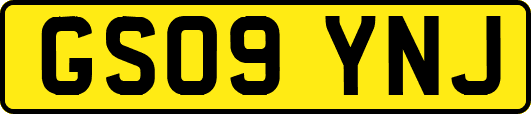 GS09YNJ