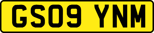 GS09YNM