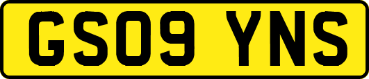 GS09YNS