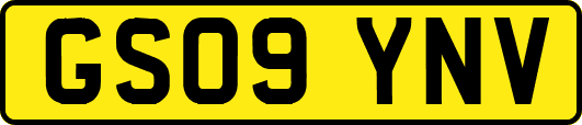 GS09YNV