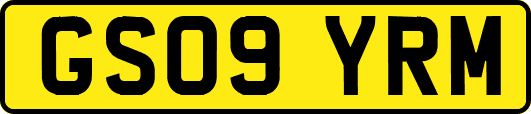 GS09YRM
