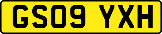 GS09YXH