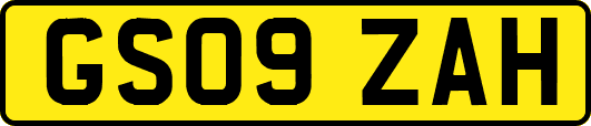 GS09ZAH