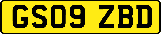 GS09ZBD