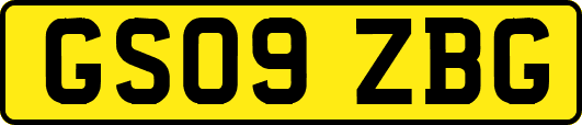 GS09ZBG
