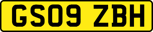 GS09ZBH