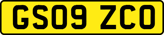 GS09ZCO