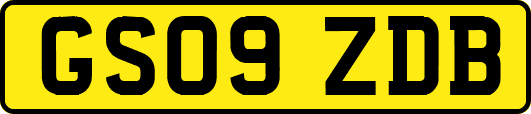 GS09ZDB