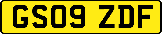 GS09ZDF