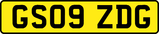 GS09ZDG
