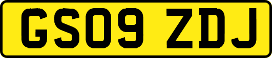 GS09ZDJ