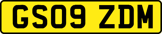 GS09ZDM