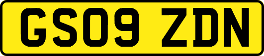 GS09ZDN