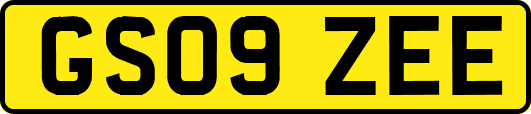 GS09ZEE