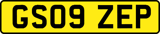 GS09ZEP