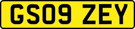 GS09ZEY