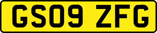GS09ZFG