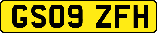 GS09ZFH