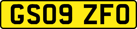 GS09ZFO