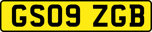 GS09ZGB