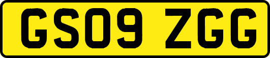 GS09ZGG