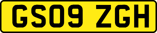 GS09ZGH