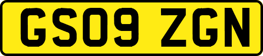 GS09ZGN