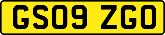 GS09ZGO