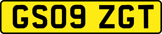 GS09ZGT