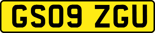 GS09ZGU