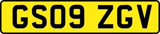 GS09ZGV