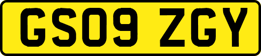 GS09ZGY