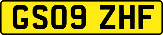 GS09ZHF