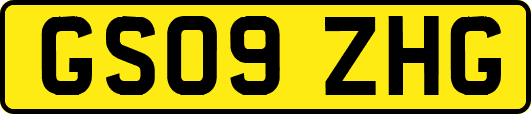 GS09ZHG