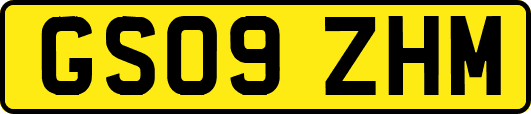 GS09ZHM