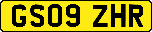 GS09ZHR