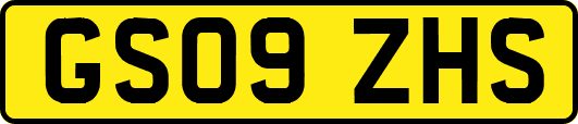 GS09ZHS