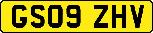GS09ZHV