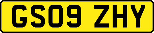 GS09ZHY